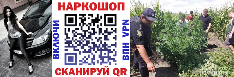 Псилоцибиновые грибы Ликино-Дулёво