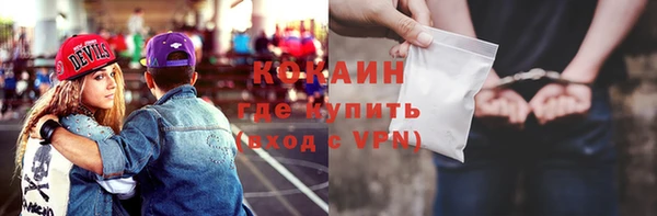 шишки Наволоки
