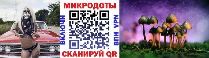 Псилоцибиновые грибы Psilocybe  нарко площадка формула  Ликино-Дулёво 